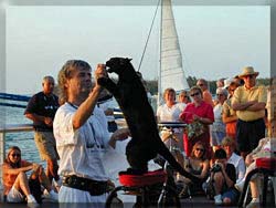 Cat Man