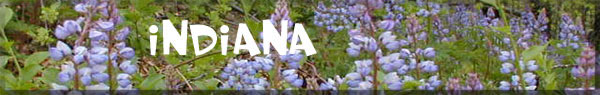 Indiana