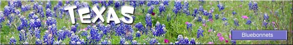 Texas Hill Country