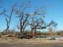 Gulfport