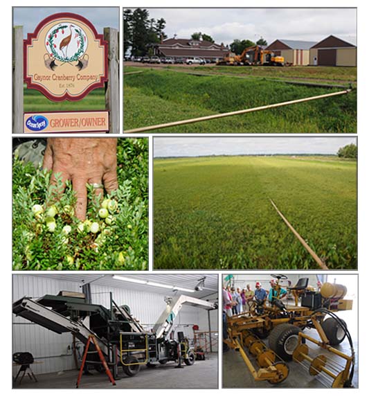 Graynor Cranberry Company